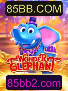 Descubra o Fascinante Mundo de WonderElephant em 85BB.COM